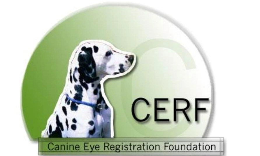 Canine Eye Registration Foundation